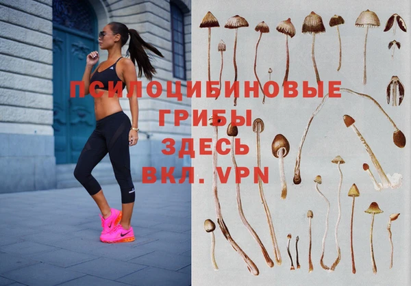 mdpv Приозерск